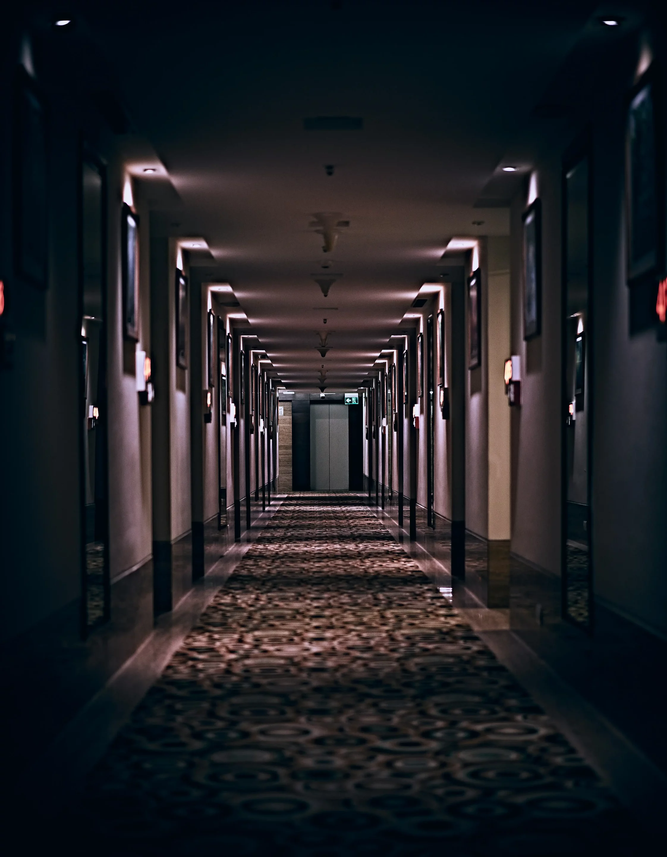 Unsplash Image CuyMzXKKJEc by Ashwini Chaudhary(Monty) Unsplash Image CuyMzXKKJEc by Ashwini Chaudhary(Monty)
